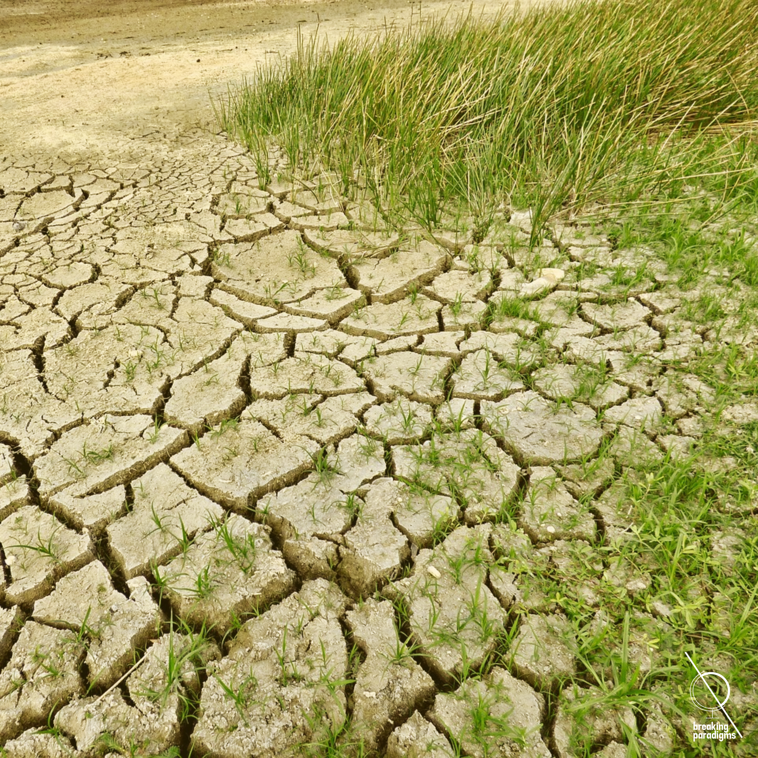 drought as symbol for climate change